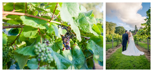 Wickham_Vineyard_Wedding_Photography_Hampshire_0067.jpg
