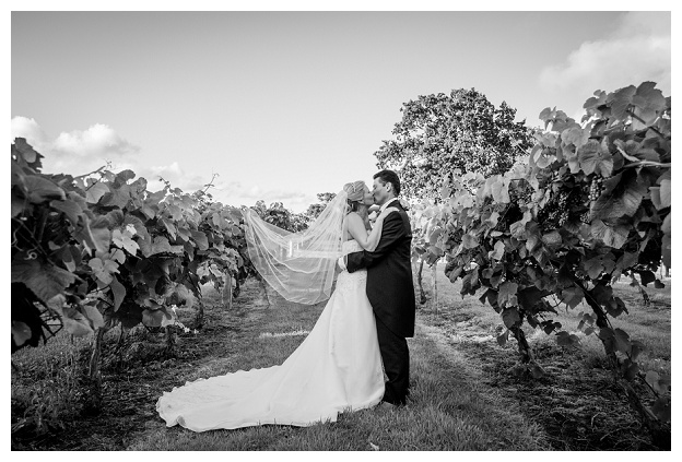 Wickham_Vineyard_Wedding_Photography_Hampshire_0068.jpg