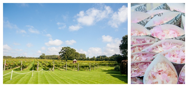 Three_Choirs_Wickham_Vineyard_Wedding_Photography_Hampshire_The Cole Portfolio_0015.jpg