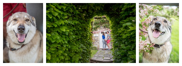 Wiltshire_Wedding_Photography_The Cole Portfolio_0018.jpg