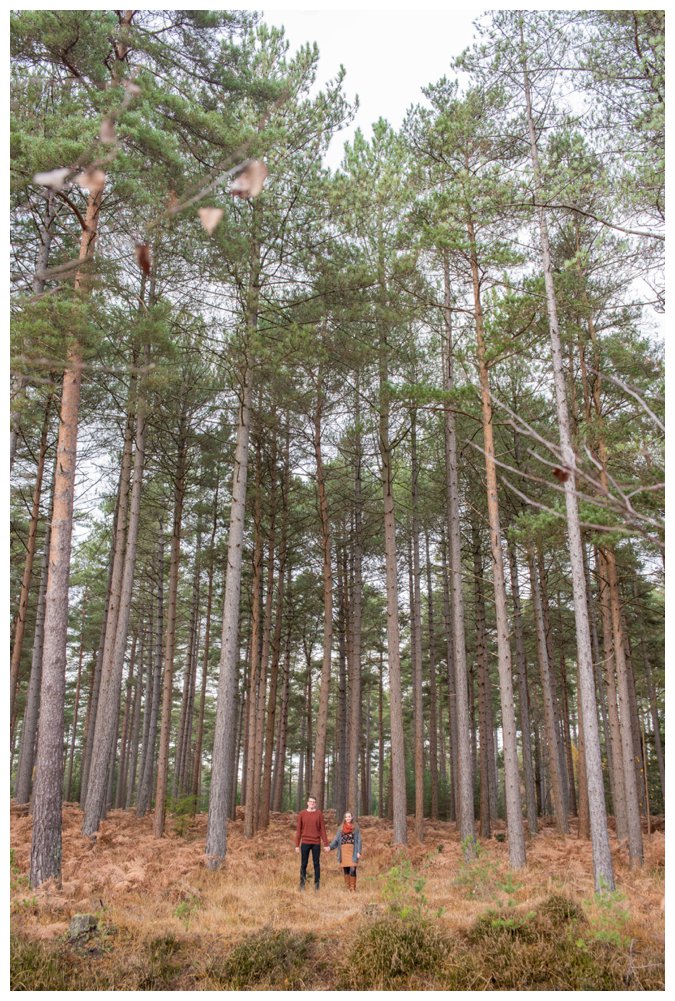 Wedding Photographer New Forest Engagement Photography_0006.jpg