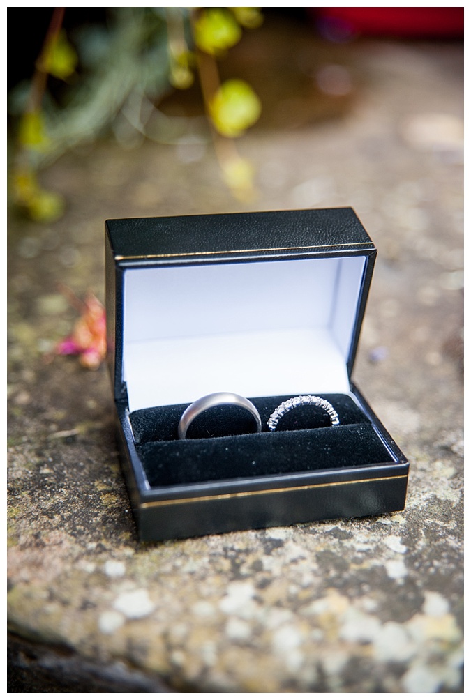 Winchester Wedding Photographer_Avington Park Wedding Photographhy_0006.jpg